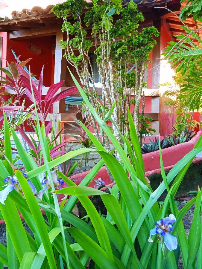 Novos Baianos Hostel E Pousada Porto Seguro Exterior foto A garden in the city